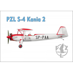 Magnes samolot PZL S-4 Kania 2